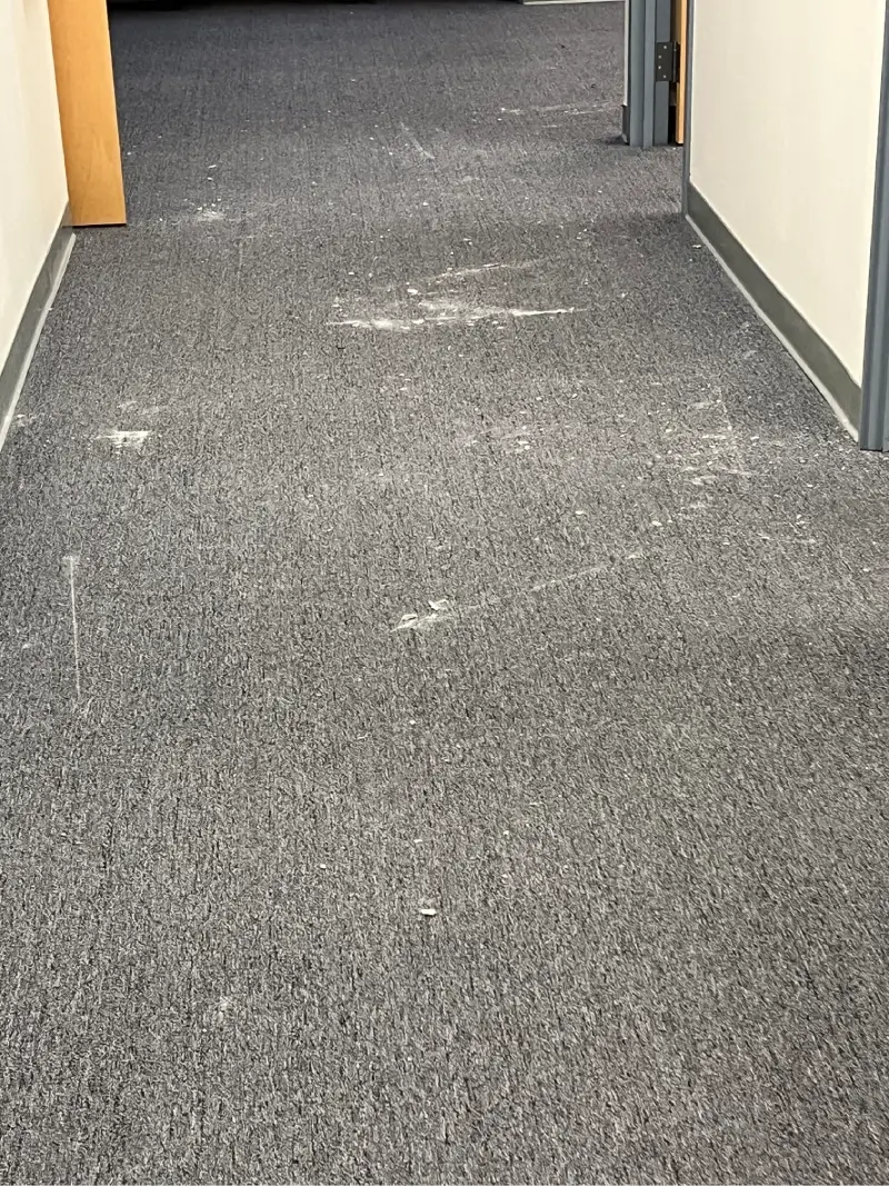 Carpeted hallway floor with visible white dust marks.