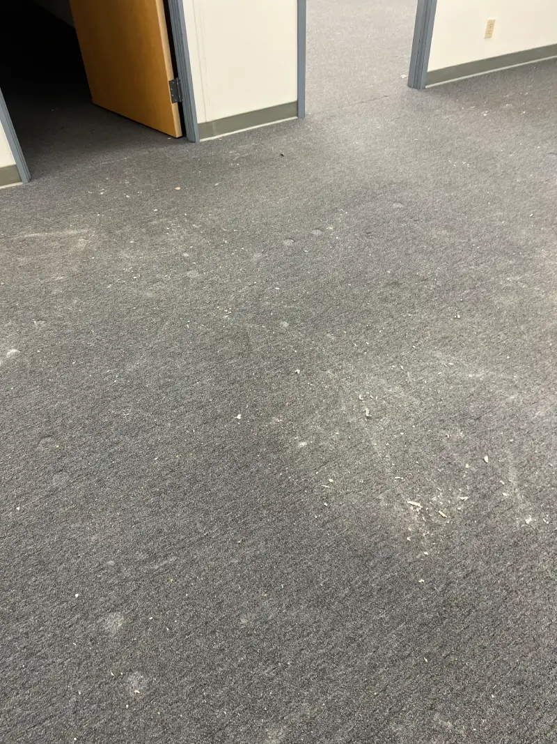 A gray carpeted floor with some faint stains and marks.
